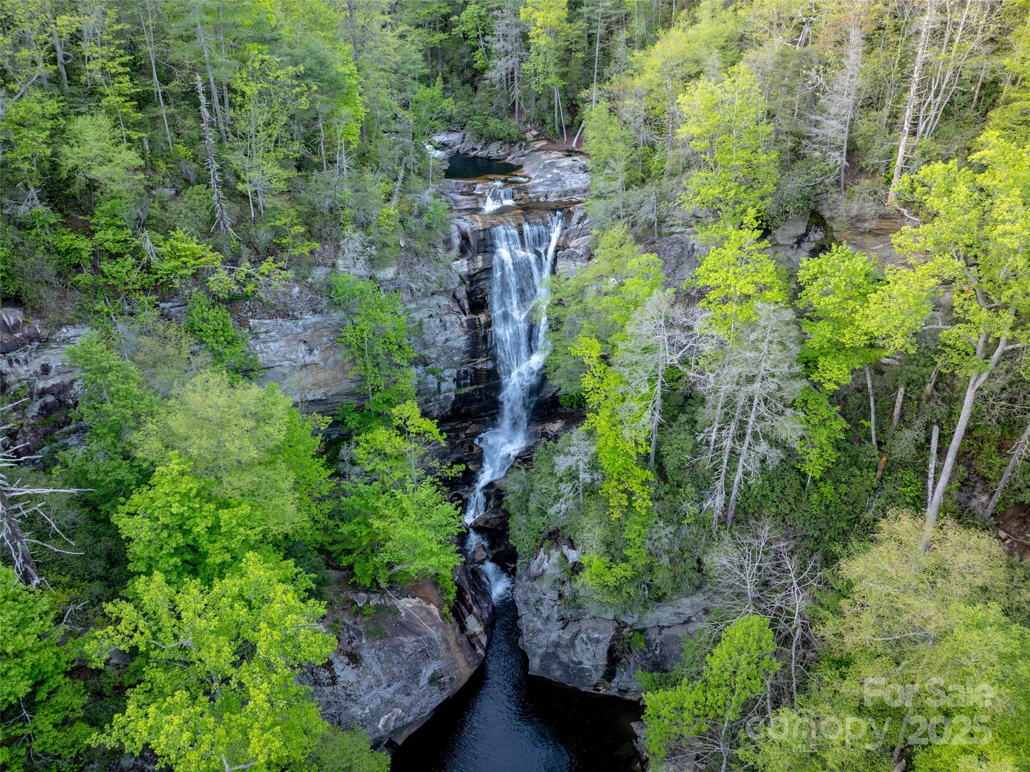 13084 Canada Road Tuckasegee, NC 28783 - Photo 46 of 48 a view of a garden with lots of trees