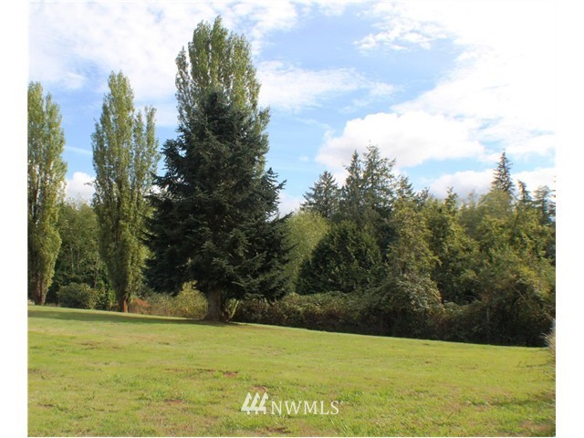 83 Malone Hill Road Elma, WA 98541 - Photo 18 of 21 Gallery Image 18