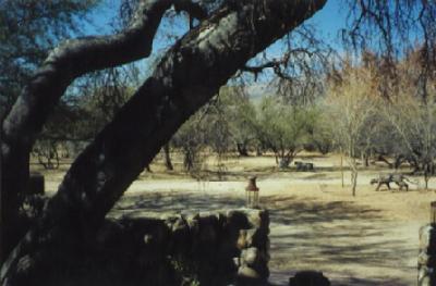 6355 High Valley Road Vail, AZ 85641 - Photo 8 of 10