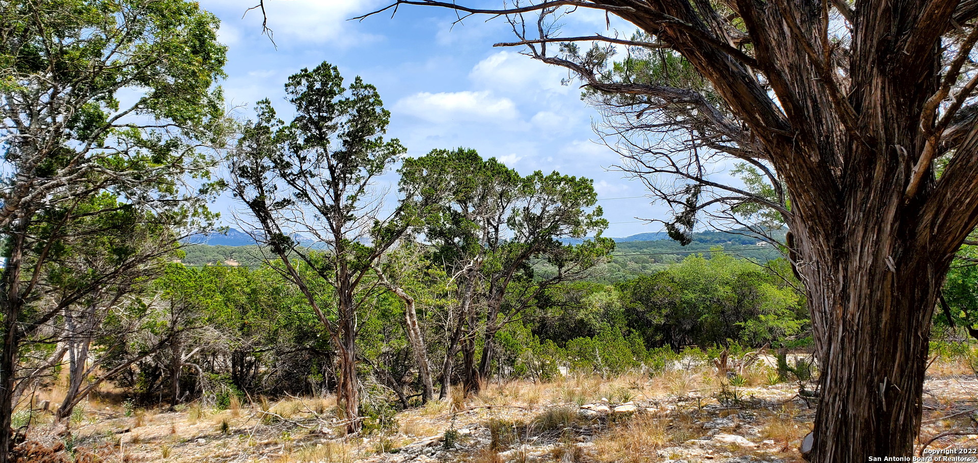 0 North Park Road Canyon Lake, TX 78133 - Photo 11 of 26 a view of a yard