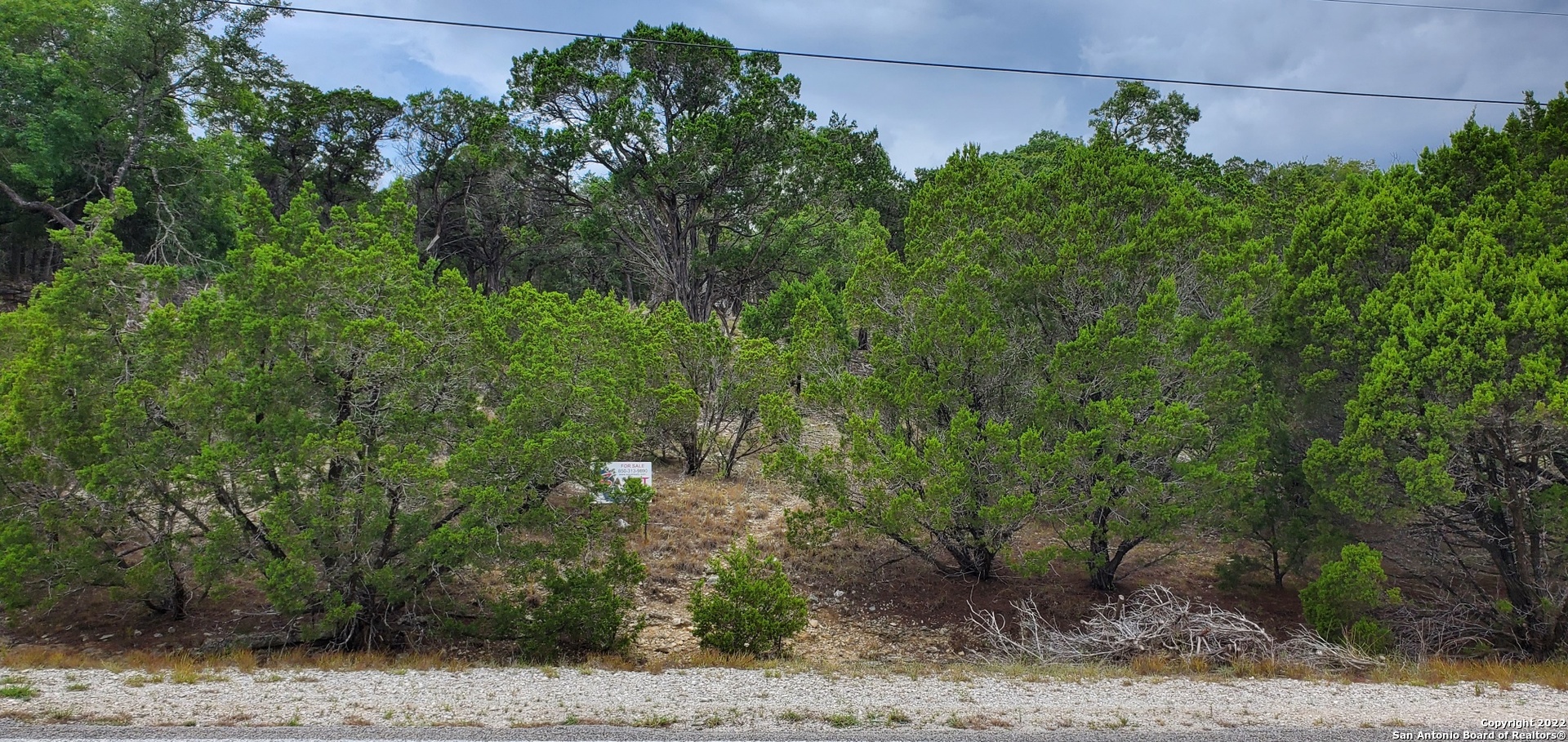 0 North Park Road Canyon Lake, TX 78133 - Photo 25 of 26 a view of a yard with plants and large trees