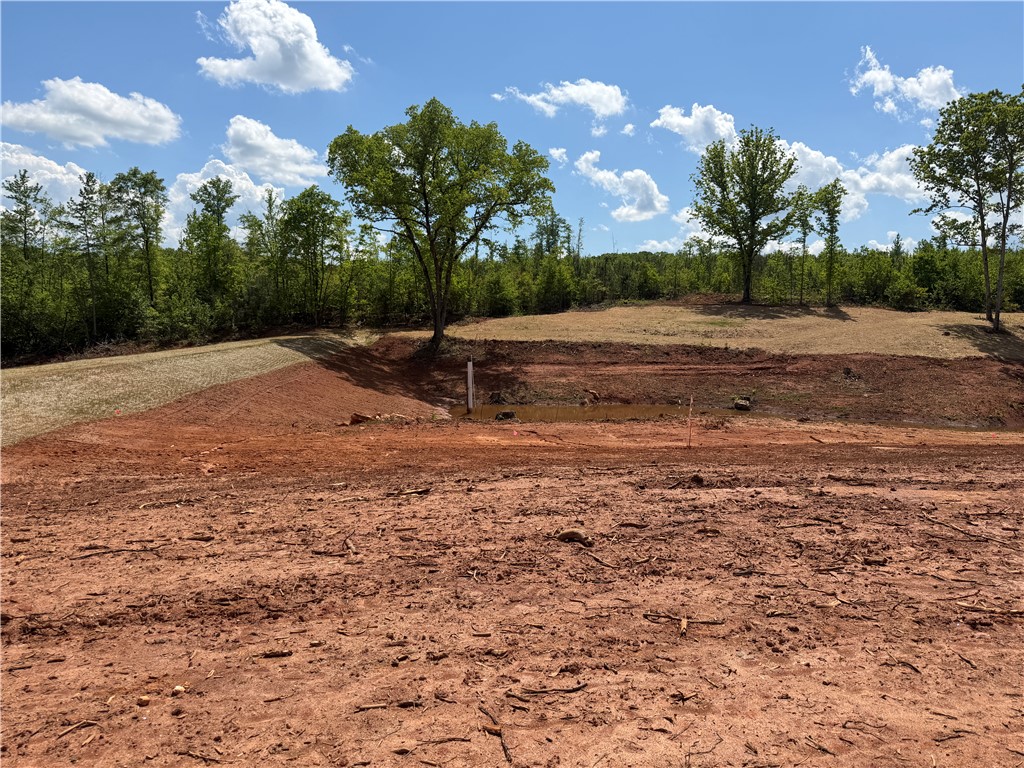 Lot 11 Pickens Drive Pendleton, SC 29670 - Photo 8 of 9 A spacious, cleared lot with mature trees offers a canvas for a dream home.