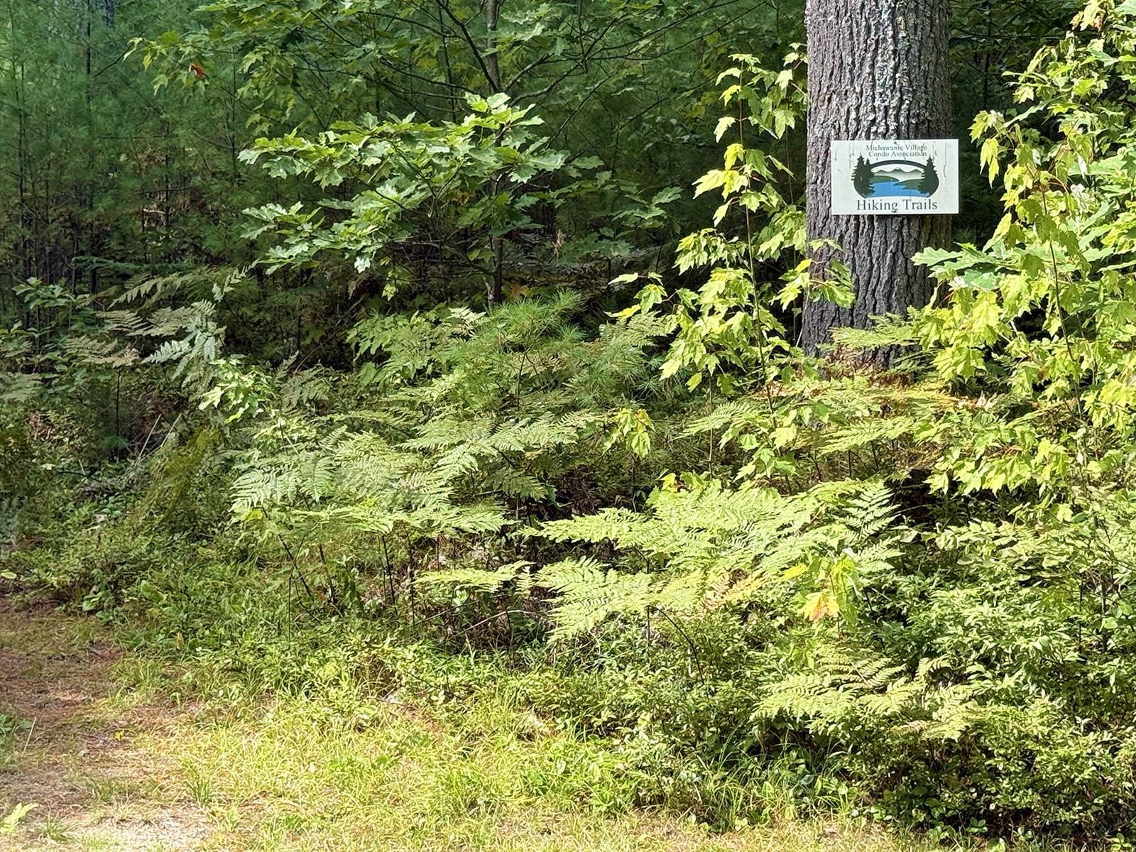 43 Michawanic Road, Unit 1C Wakefield, NH 03872 - Photo 21 of 59 Gallery Image 21