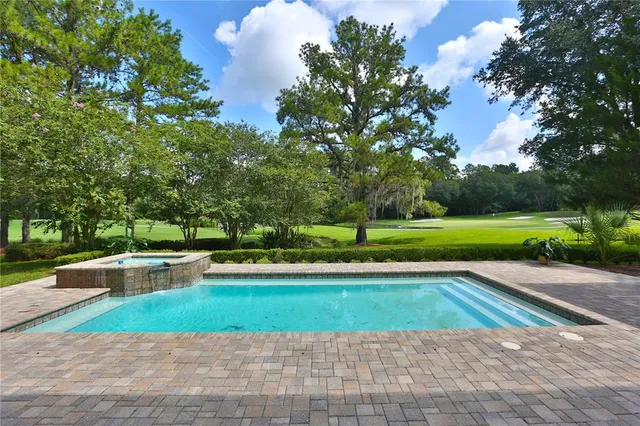 a view of a park with plants and large trees