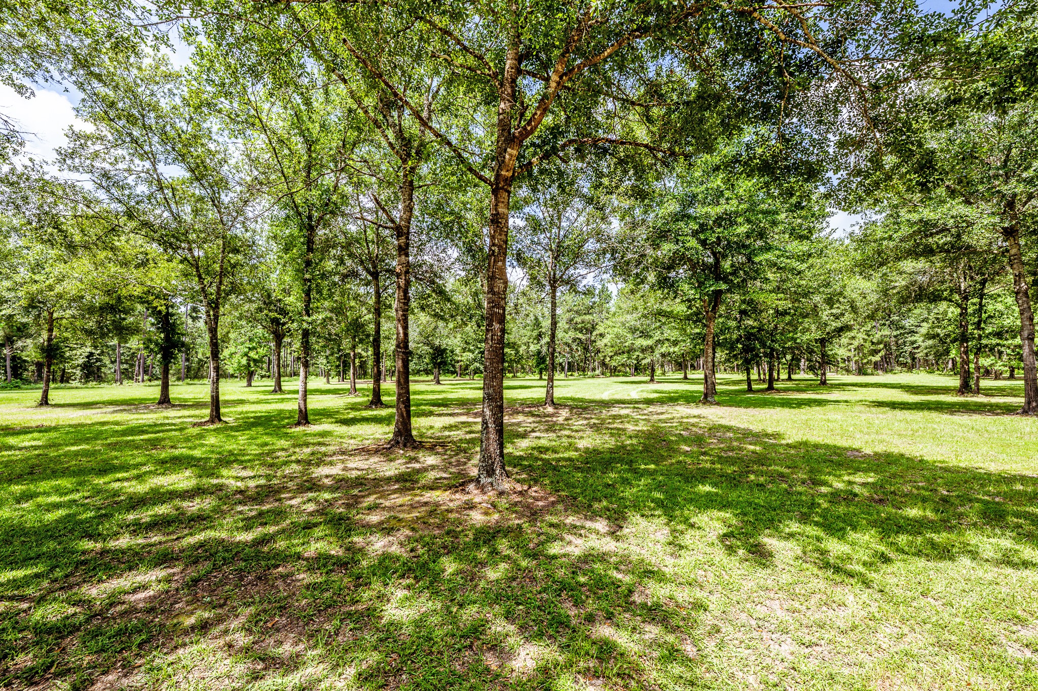 96 B John Kay Road Huntsville, TX 77320 - Photo 41 of 50