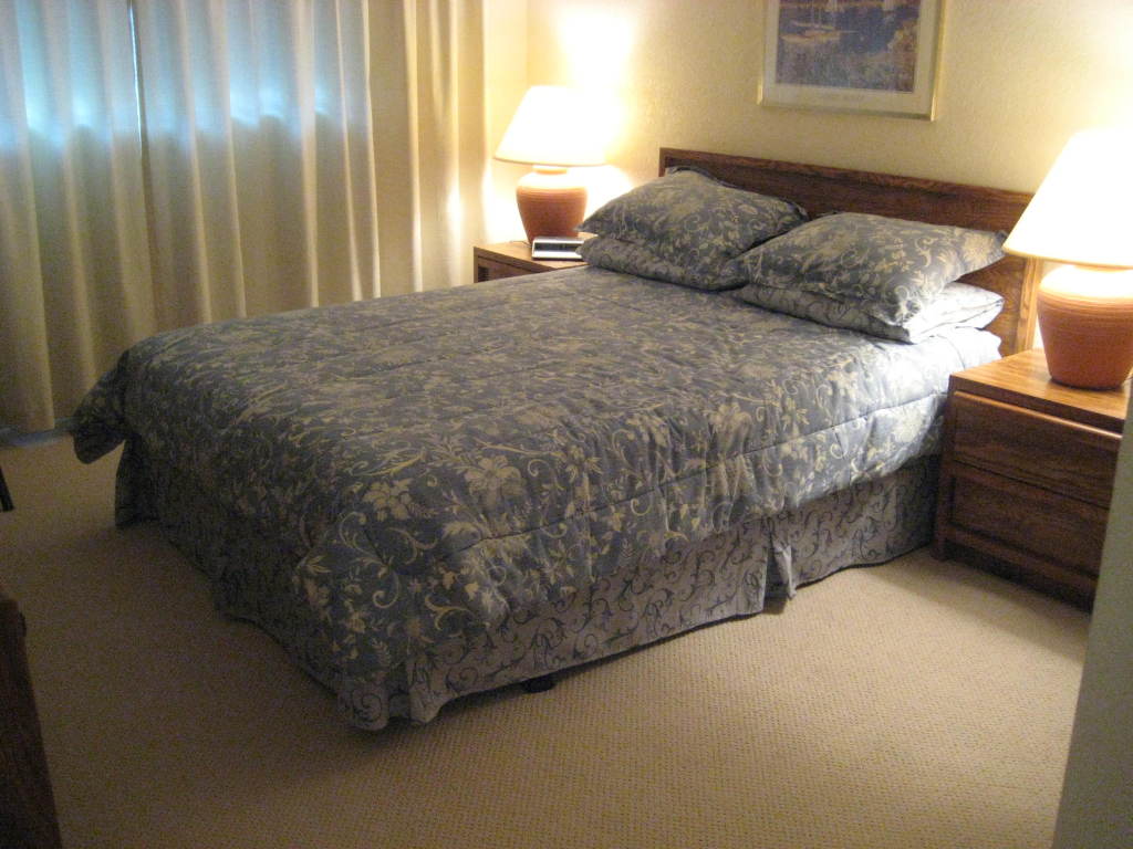 7430 East Chaparral Road, Unit 215 Scottsdale, AZ 85250 - Photo 3 of 10 Master bedroom