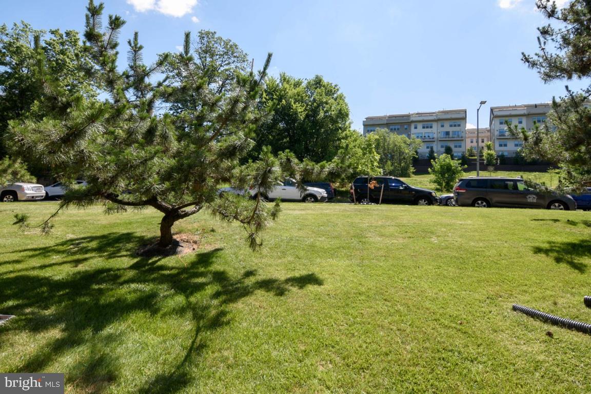 3160 Cherry Road Northeast, Unit 40 Washington, DC 20018 - Photo 68 of 70 Gallery Image 68