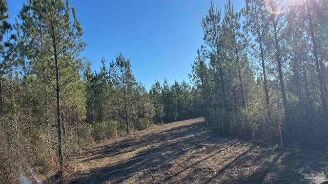 $99,900 | Lot 56 Straw Bridge Road, Jay, FL 32565