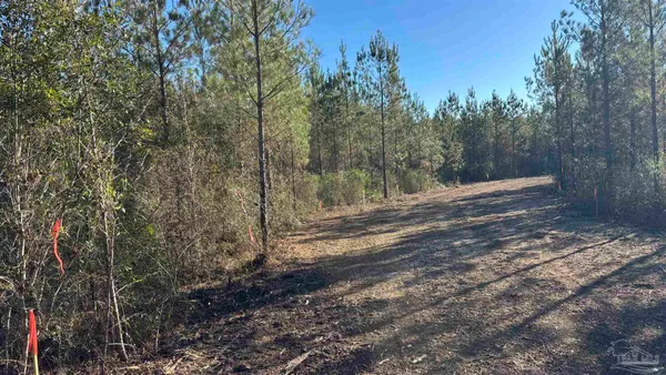 $99,900 | Lot 56 Straw Bridge Road, Jay, FL 32565