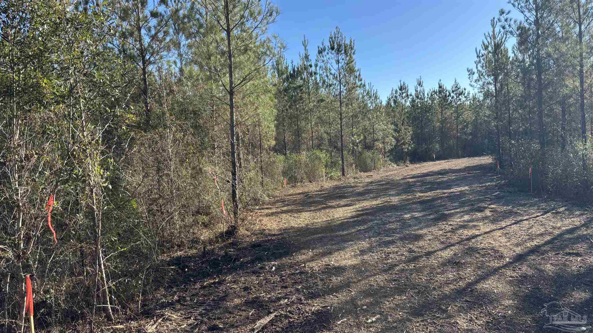 Lot 56 Straw Bridge Road Jay, FL 32565 - Photo 4 of 7