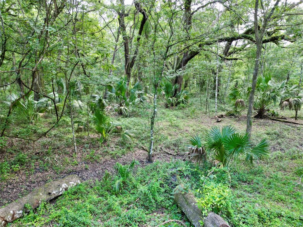 Tbd Southwest 31st Way Webster, FL 33597 - Photo 11 of 15