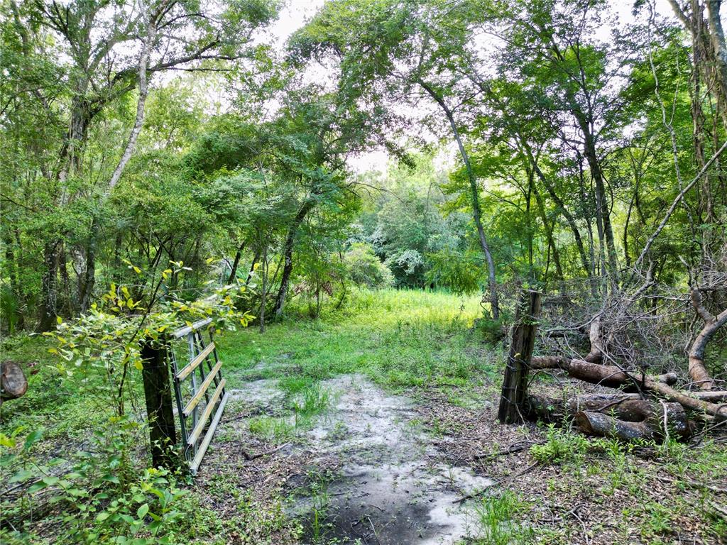 Tbd Southwest 31st Way Webster, FL 33597 - Photo 2 of 15