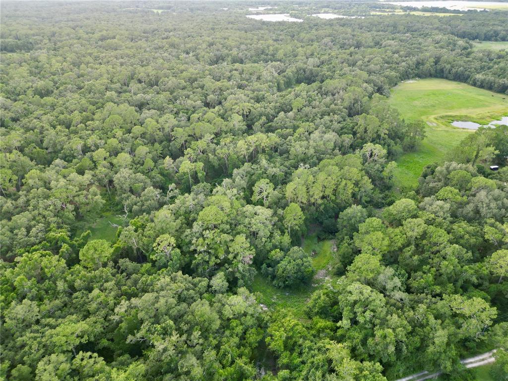 Tbd Southwest 31st Way Webster, FL 33597 - Photo 3 of 15