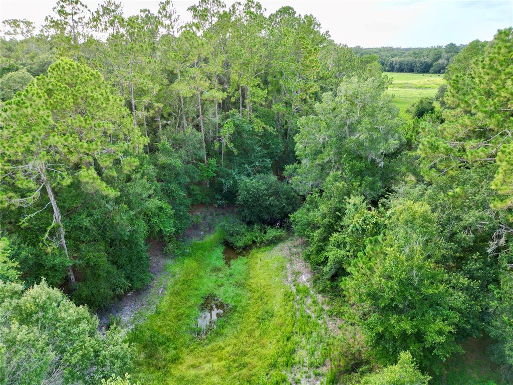 Tbd Southwest 31st Way Webster, FL 33597 - Photo 4 of 15