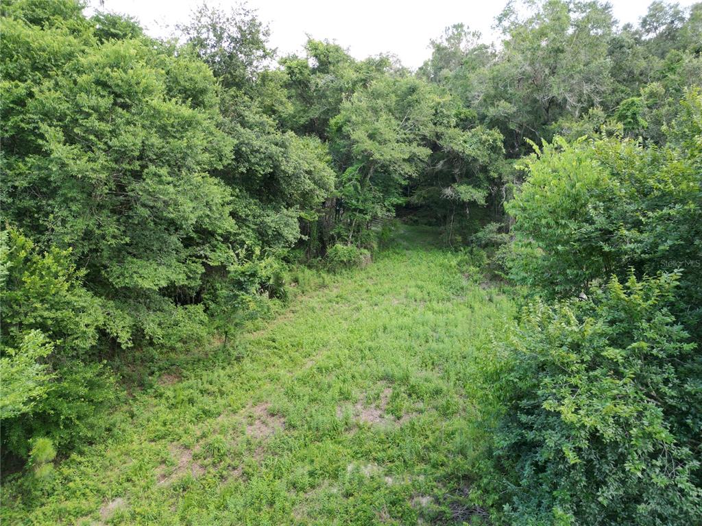 Tbd Southwest 31st Way Webster, FL 33597 - Photo 5 of 15