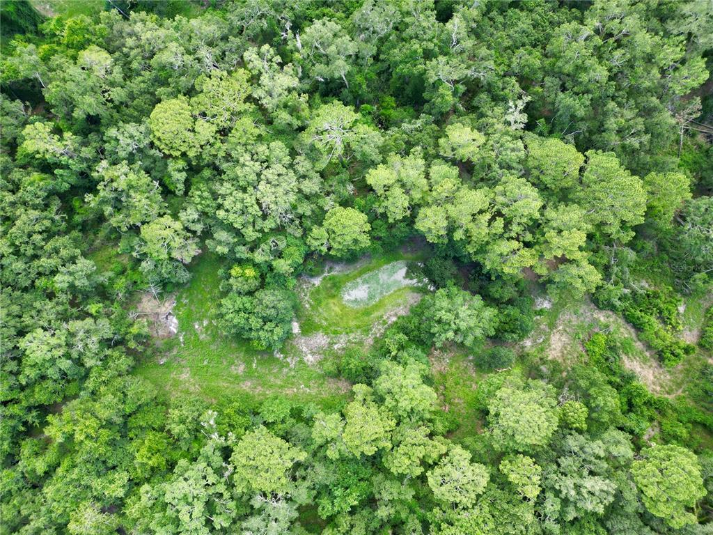 Tbd Southwest 31st Way Webster, FL 33597 - Photo 6 of 15