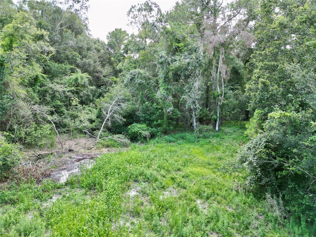 Tbd Southwest 31st Way Webster, FL 33597 - Photo 9 of 15