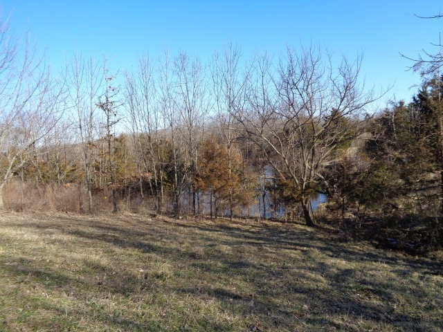 Whippoorwill Road California, MO 65018 - Photo 5 of 10