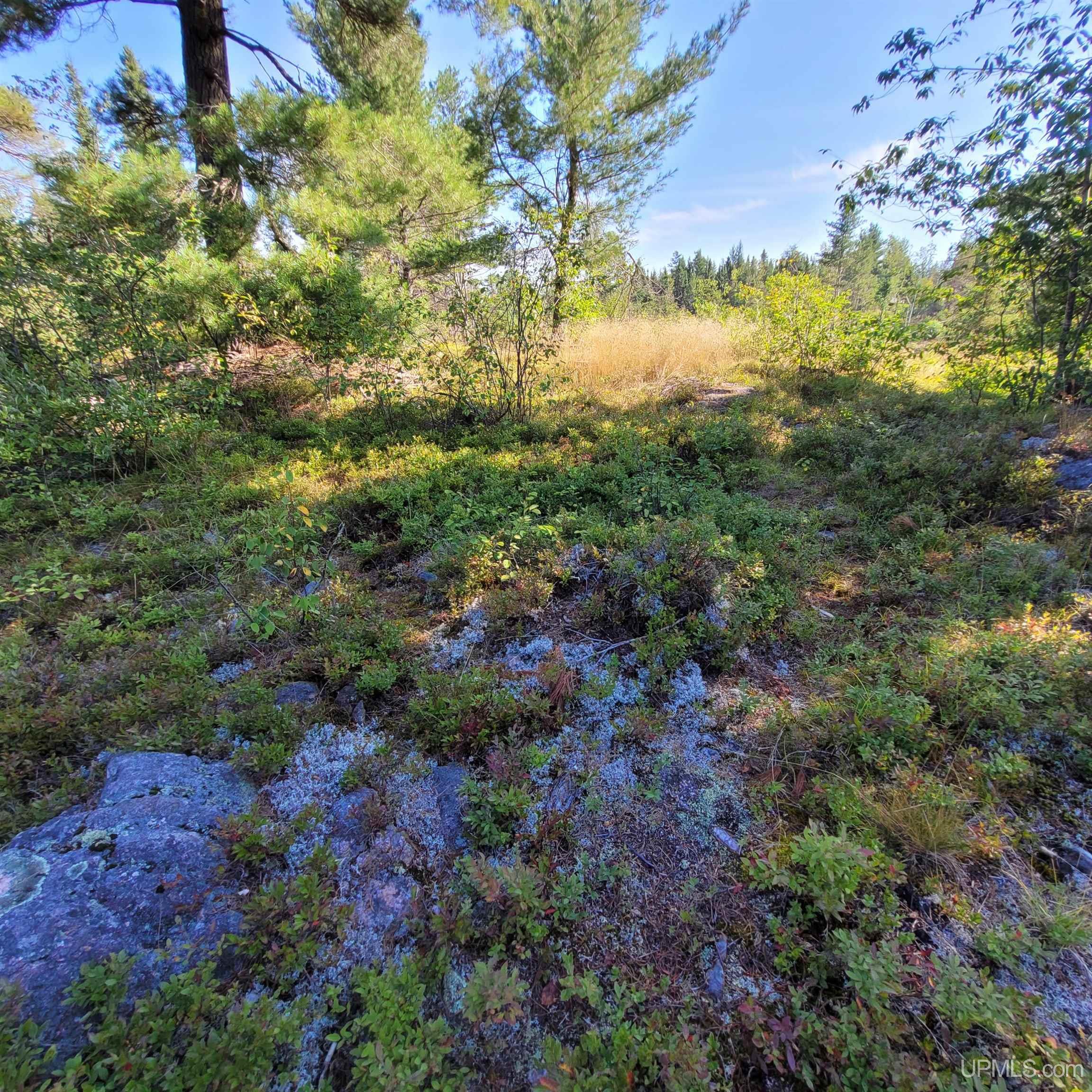 76 Acres Road Gwinn, MI 49841 - Photo 20 of 64