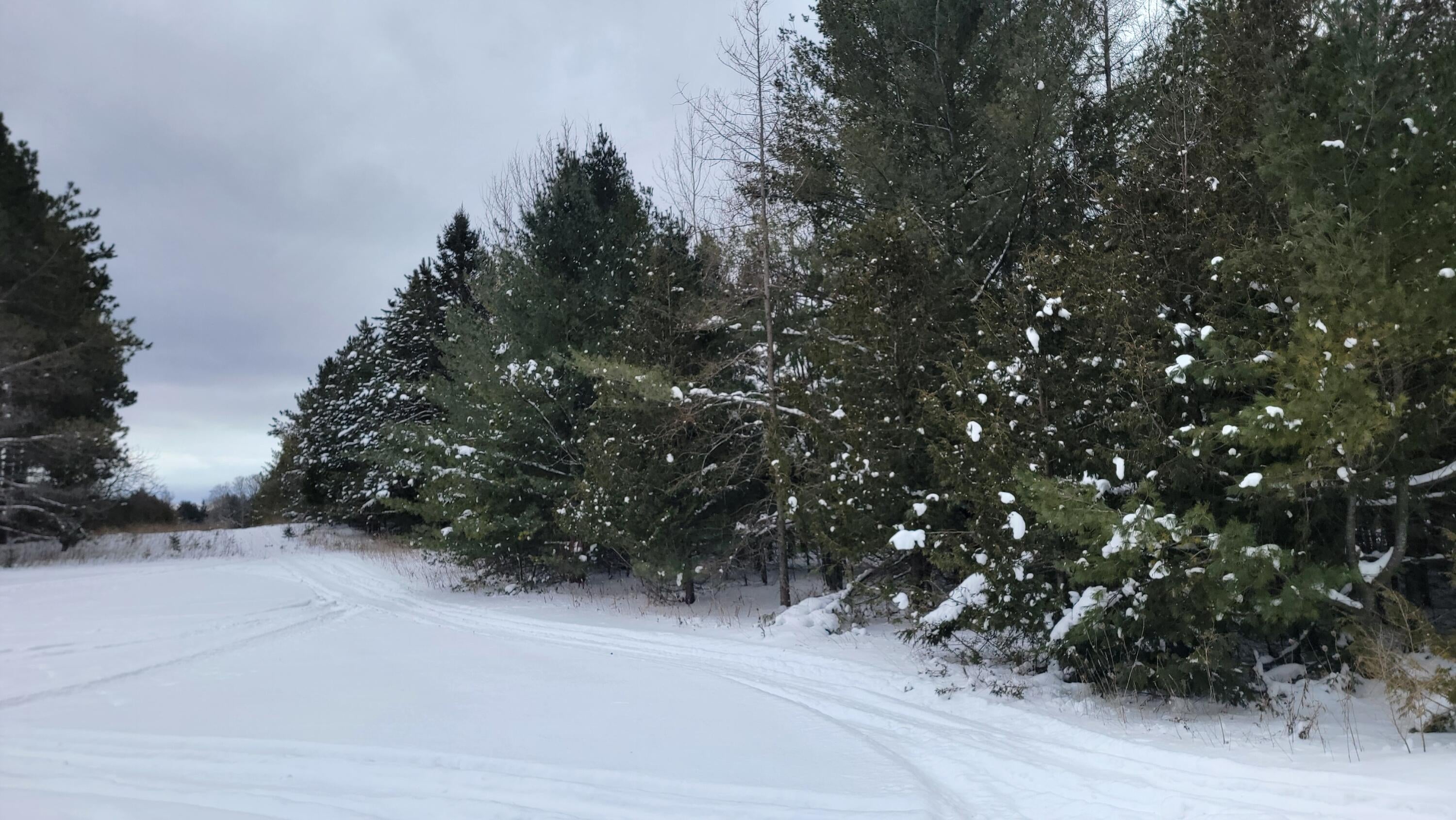 Dukes Road Moran, MI 49760 - Photo 19 of 20 Gallery Image 19