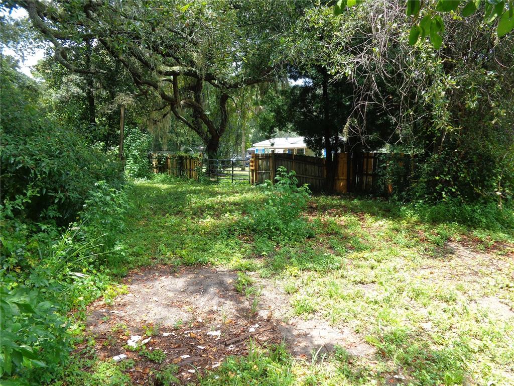 2878 Northeast 161st Street Citra, FL 32113 - Photo 27 of 38 a view of outdoor space and yard