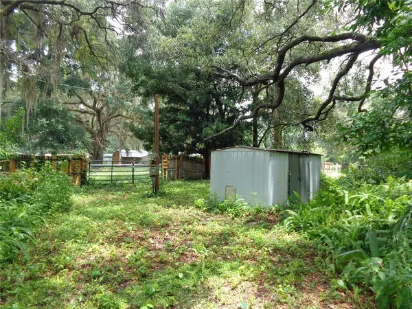 a garden view