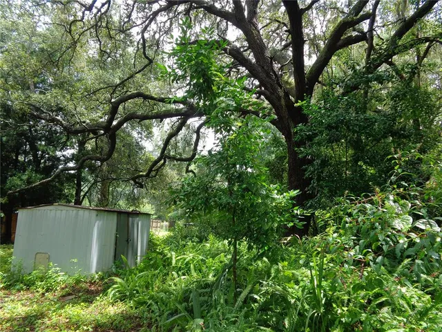 a view of a back yard