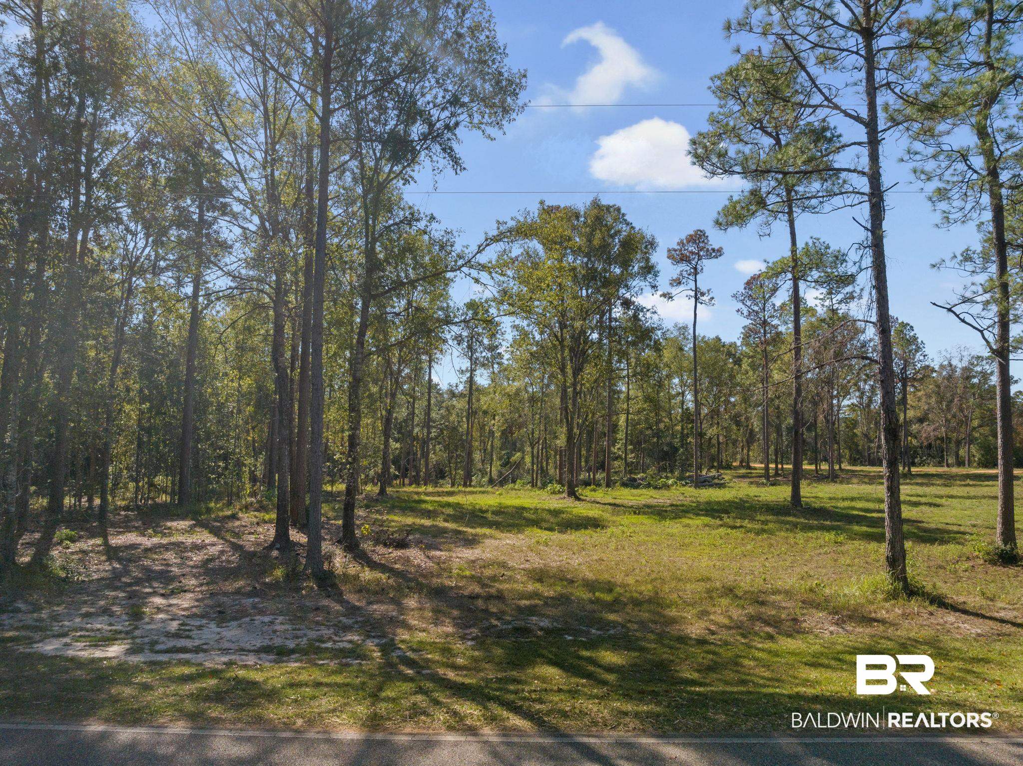 53572 Modelle Bryars Road Perdido, AL 36562 - Photo 5 of 20 Gallery Image 5