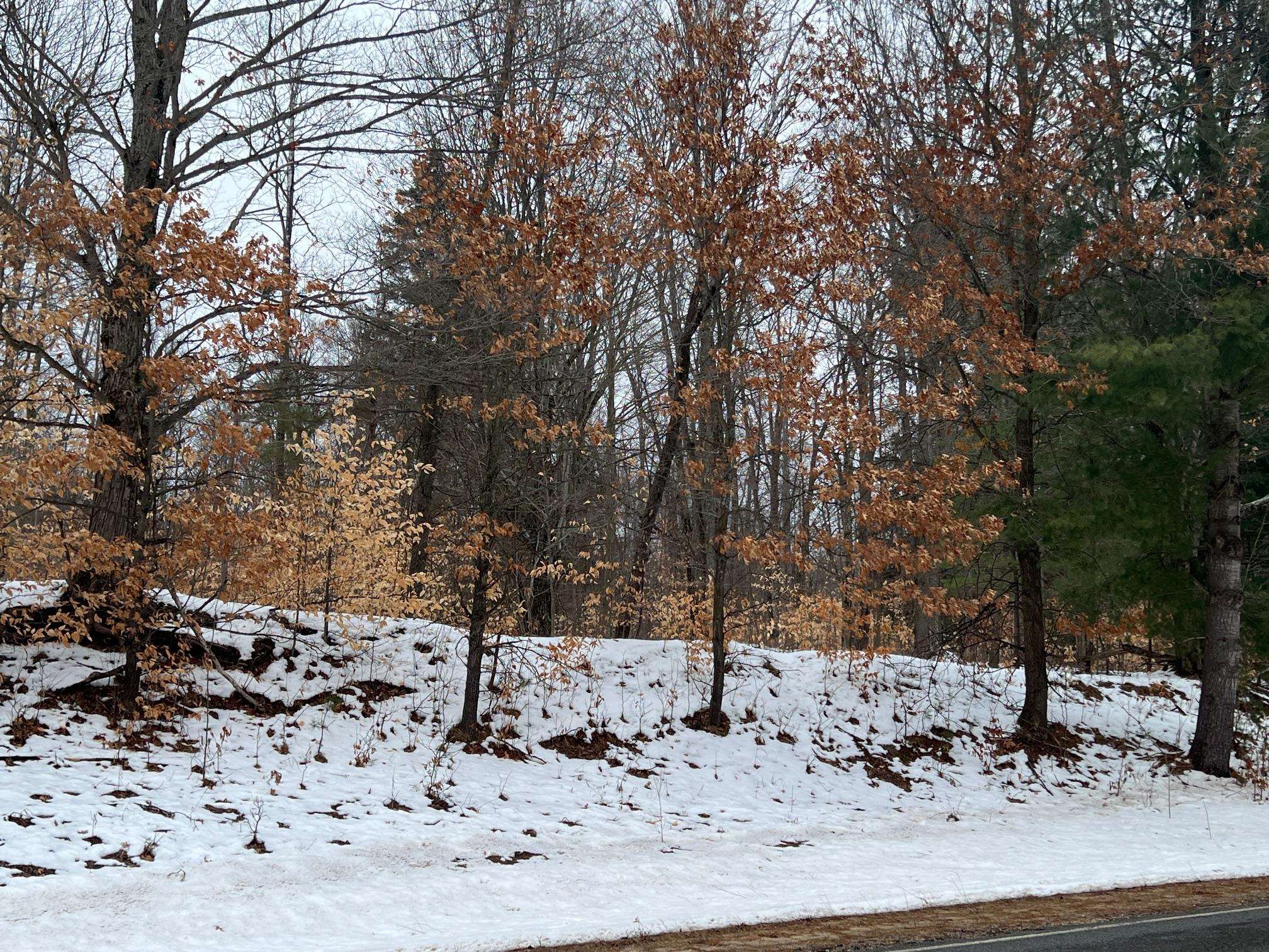0 East 8 Mile Road Luther, MI 49656 - Photo 10 of 11