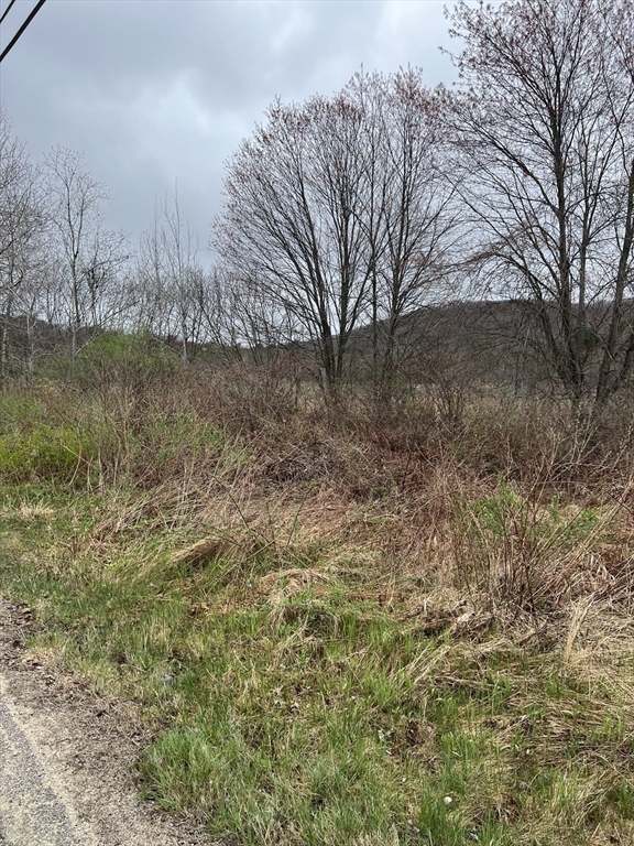 Lot 50 Reed Street Warren, MA 01083 - Photo 5 of 8 a view of lake with green space