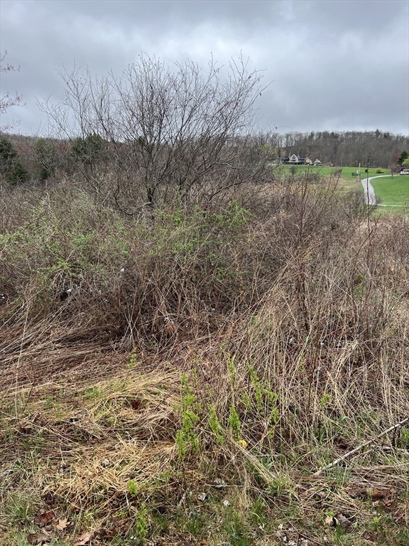 Lot 50 Reed Street Warren, MA 01083 - Photo 7 of 8 a view of a yard with a tree