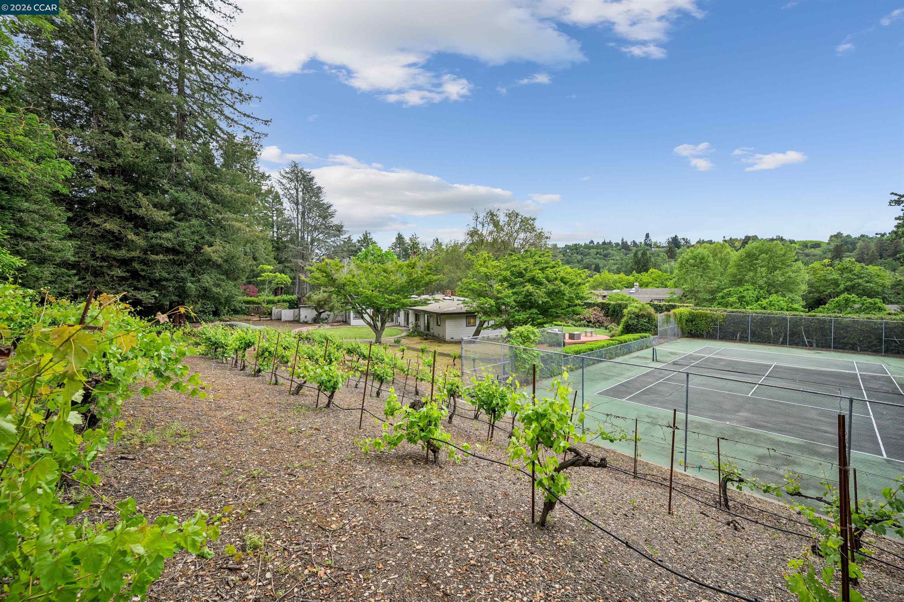 3814 Happy Valley Road Lafayette, CA 94549 - Photo 52 of 56