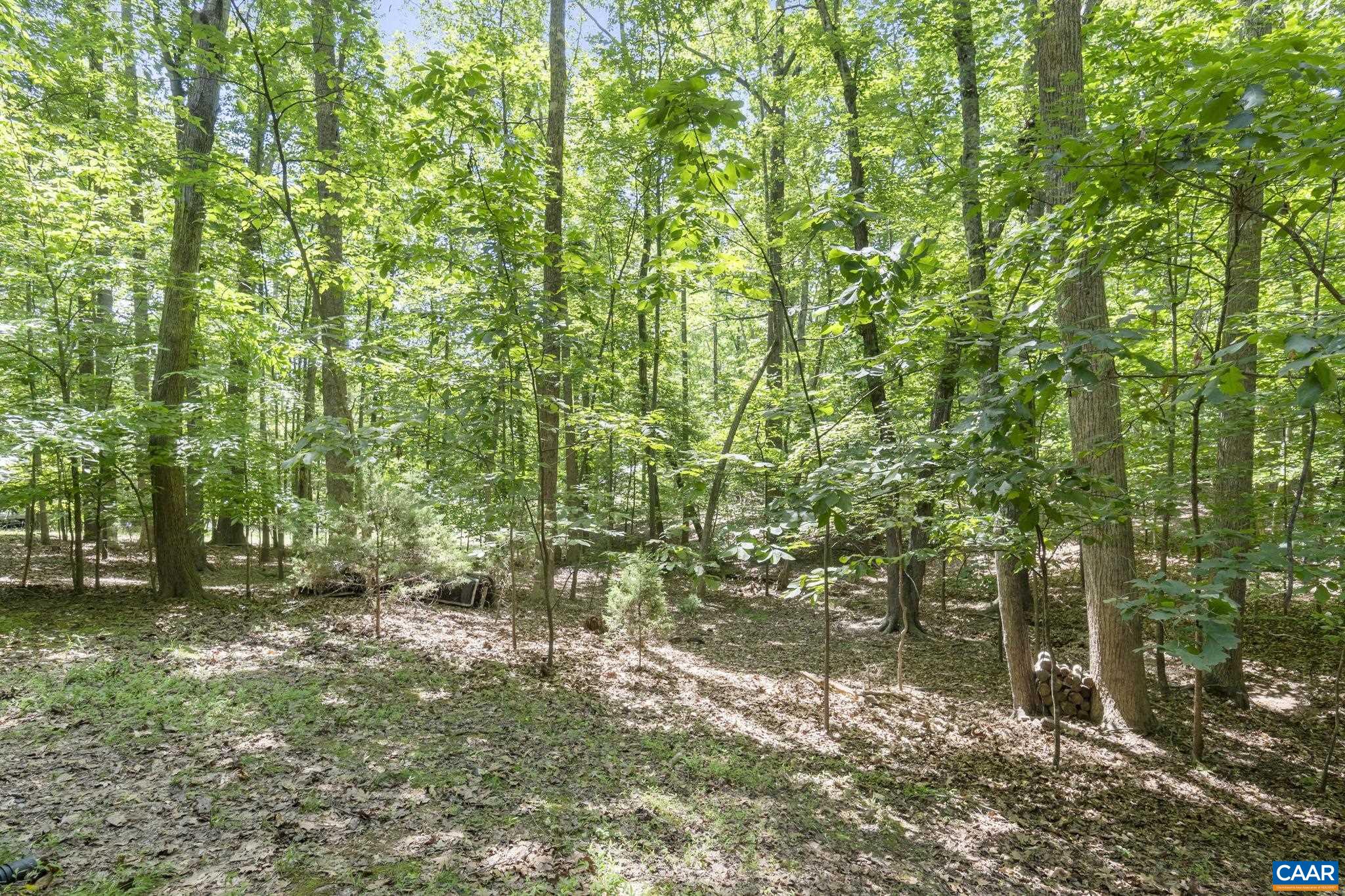 2 Whippoorwill Lane Palmyra, VA 22963 - Photo 30 of 36 a backyard of a house with lots of green space and lake view