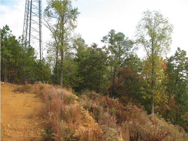 505 Goodwin Road Cleveland, TN 37312 - Photo 4 of 5 Additional Photo