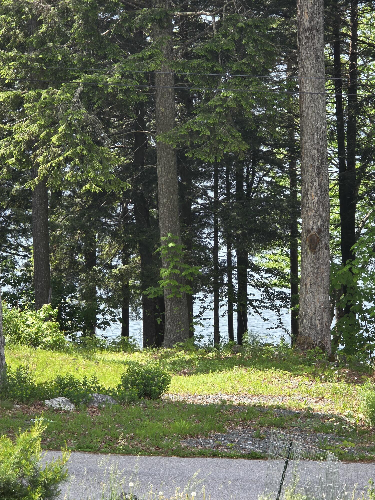 94 Adams Lane Dedham, ME 04429 - Photo 7 of 53 20260610_150027
