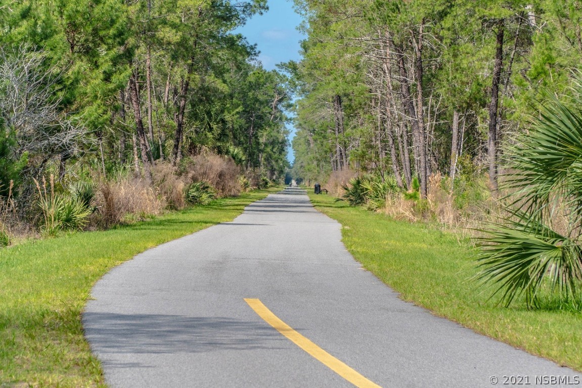 4370 Cow Creek Road Edgewater, FL 32141 - Photo 15 of 17 Gallery Image 15