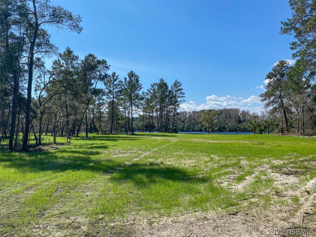 4370 Cow Creek Road Edgewater, FL 32141 - Photo 16 of 17 Gallery Image 16