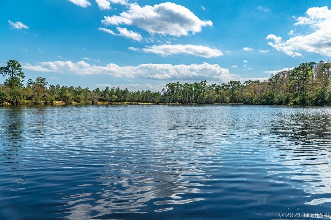 4370 Cow Creek Road Edgewater, FL 32141 - Photo 10 of 17 Gallery Image 10