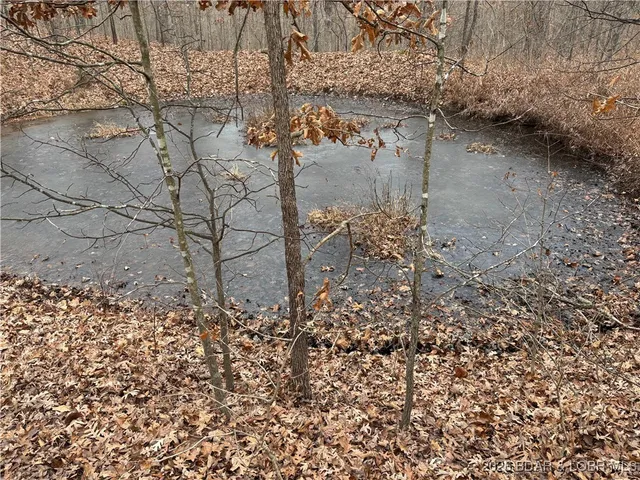 $140,000 | Tract C Industry Road, Lebanon, MO 65536