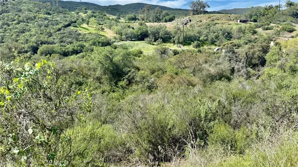 a view of a lush green forest with trees and houses