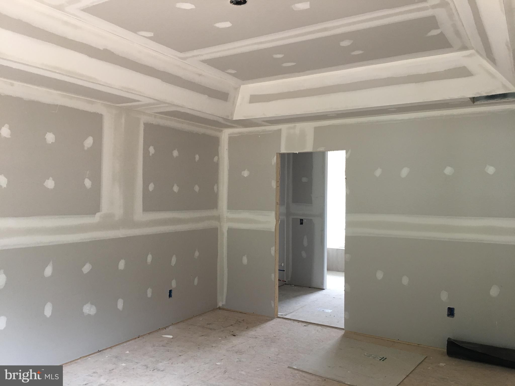10243 Eggbornsville Road Rixeyville, VA 22737 - Photo 3 of 20 Spacious MBR with tray ceiling