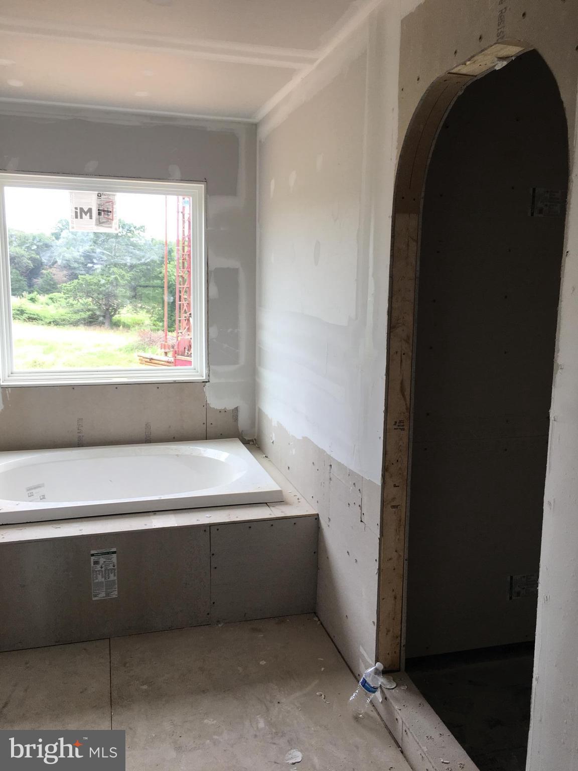 10243 Eggbornsville Road Rixeyville, VA 22737 - Photo 5 of 20 MBA separate tub and shower will have custom tile
