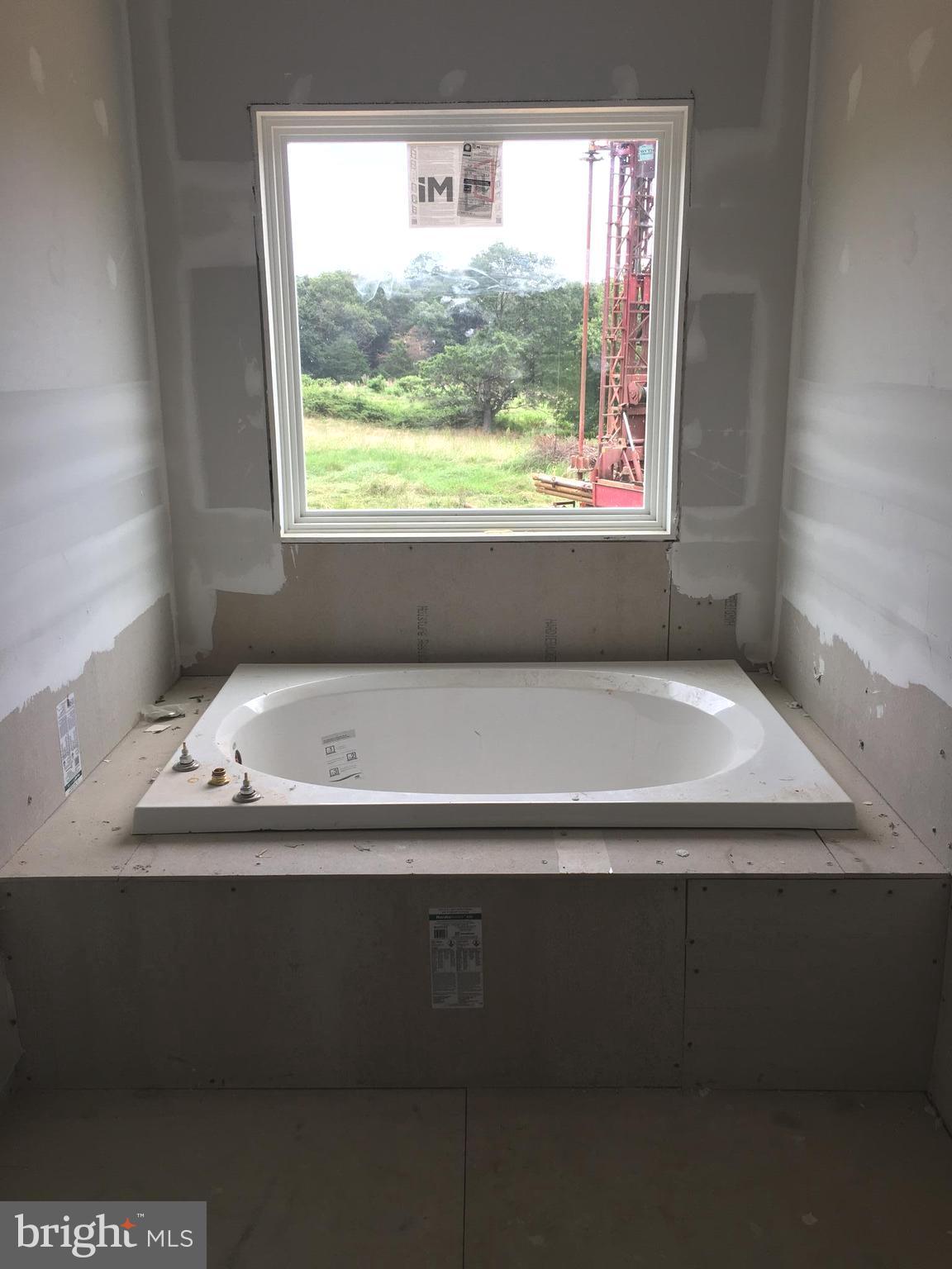 10243 Eggbornsville Road Rixeyville, VA 22737 - Photo 6 of 20 MBA with soaking tub
