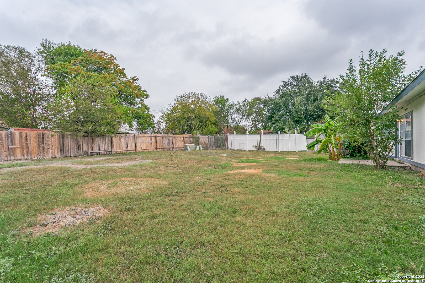 2803 Fred Haise Drive Kirby, TX 78219 - Photo 24 of 24 a view of swimming pool with a big yard and large trees