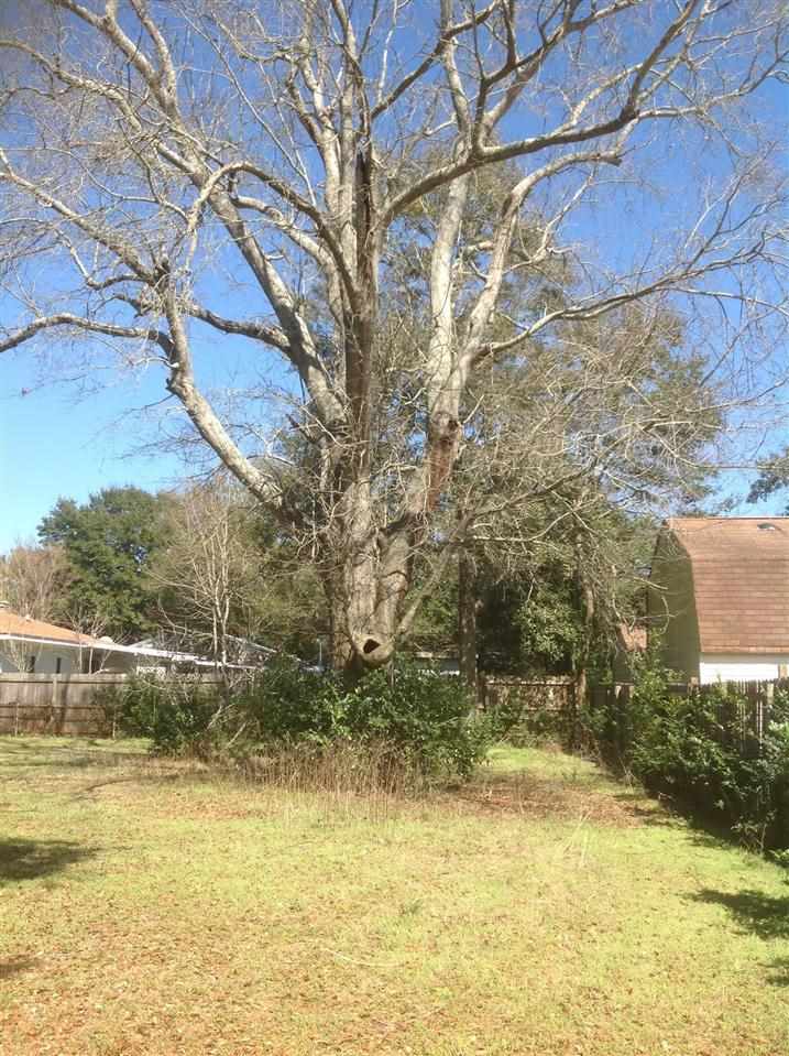 527 Frisco Road Pensacola, FL 32507 - Photo 4 of 5