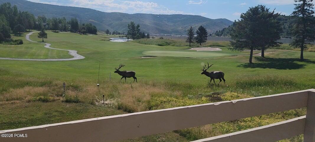 8710 Silver Spur Road Park City, UT 84098 - Photo 19 of 21