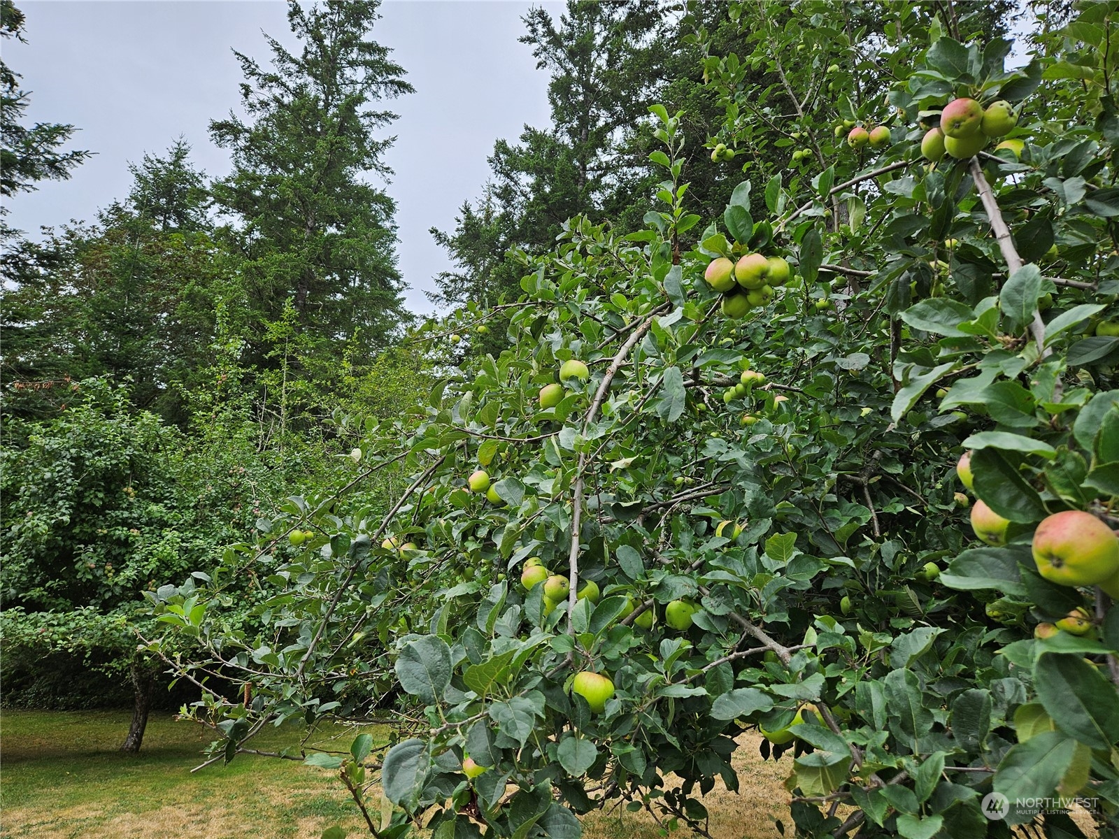 13964 Center Road Quilcene, WA 98376 - Photo 26 of 31