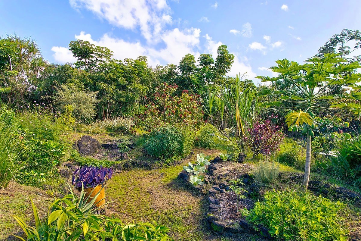 14-297 Pakaka Road Pahoa, HI 96778 - Photo 11 of 30 Gallery Image 11