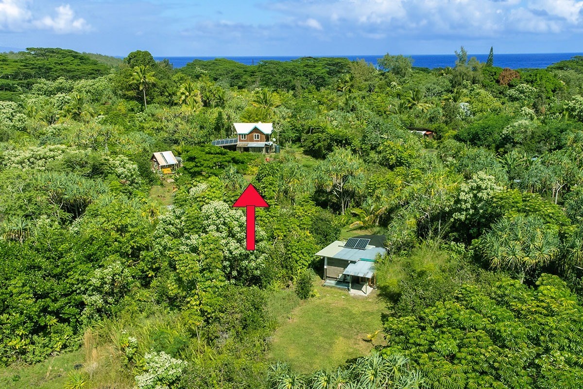 14-297 Pakaka Road Pahoa, HI 96778 - Photo 27 of 30 Gallery Image 27