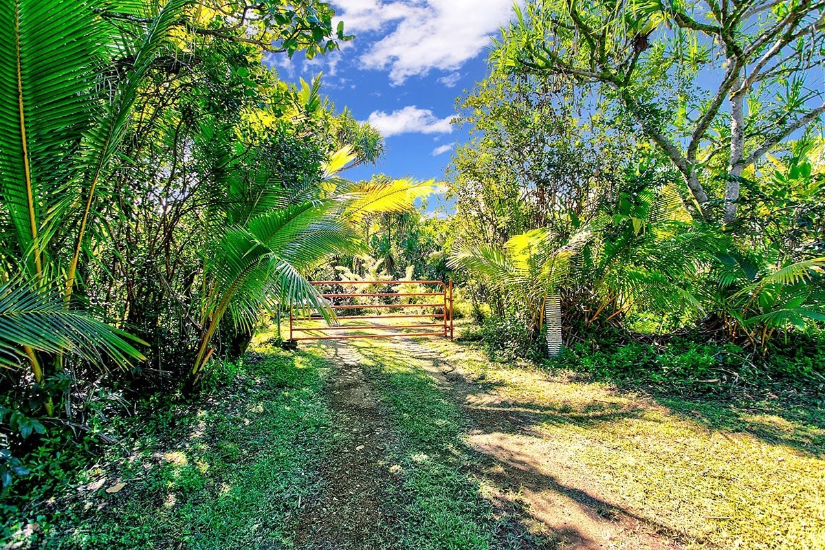 14-297 Pakaka Road Pahoa, HI 96778 - Photo 30 of 30 Gallery Image 30